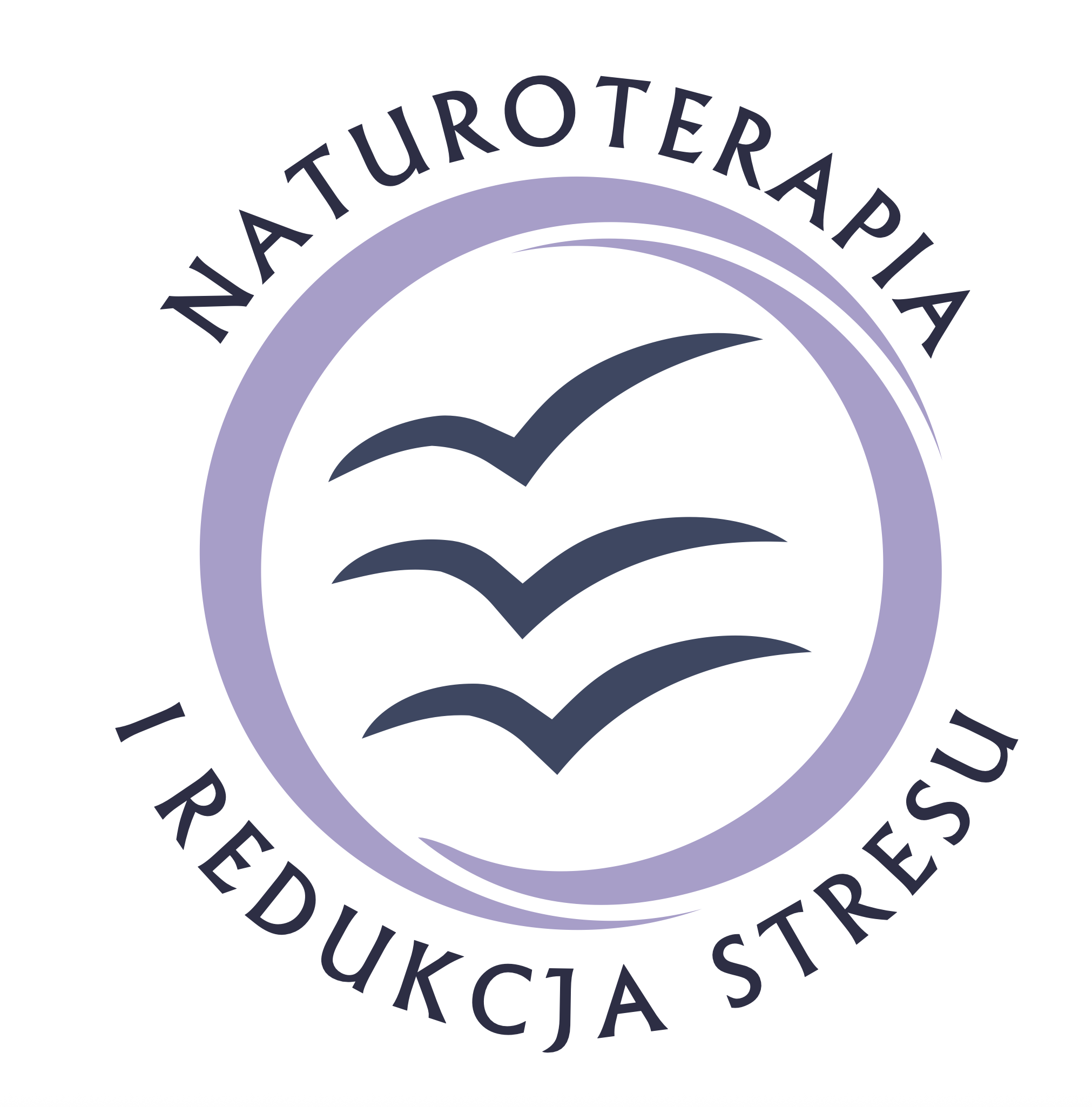 logo NIRS